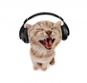Create meme: cat with headphones, cat with headphones