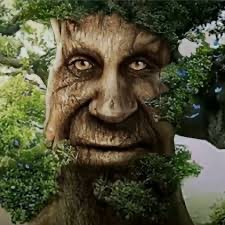 Создать мем: дерево мудрое, мистическое дерево с лицом, мудрое мистическое дерево