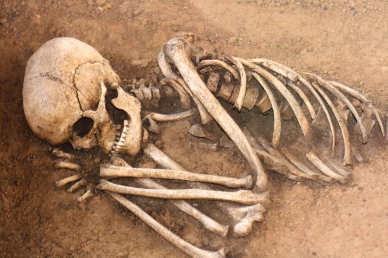 Создать мем: кости, скелет в камне, человеческий скелет
