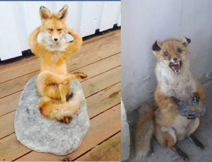 Create meme: Fox meme, Fox stuffed animal, stoned Fox