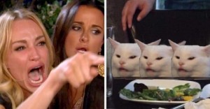 Создать мем: мем кошка, мем с котом за столом, девушка орёт на кота мем
