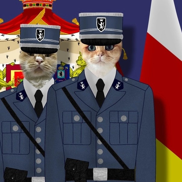 Create meme: people , police cat, the trick 