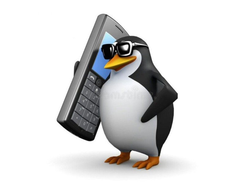 Create meme: the penguin meme, penguin with phone meme, the penguin with the phone