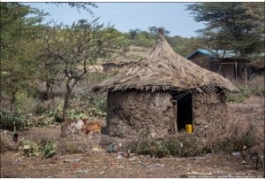 Create meme: dwelling Ethiopians, photo house made of shit and sticks, Maasai housing
