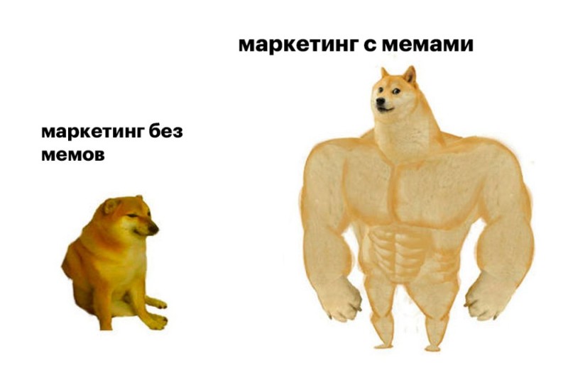 Создать мем: накаченная собака мем, doge meme качок, пес качок мем