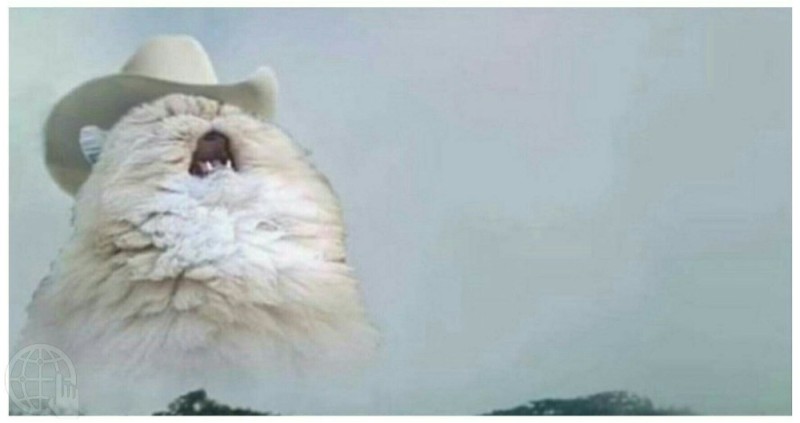 Create meme: screaming cat, the cat shouts in the mountains of meme, screaming cat meme