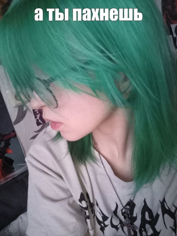 Создать мем: болотный цвет волос, зеленые волосы, зеленый цвет волос
