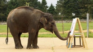 Создать мем: киевский зоопарк, an elephant, african elephant