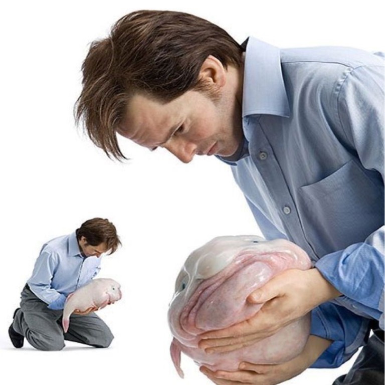 Create meme: fish drop , Patricia piccinini., The man with the fish drop