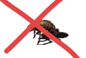Create meme: the destruction of insects, fleas