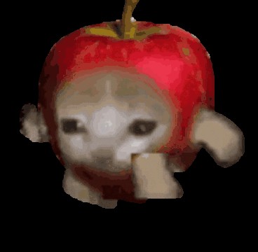 Create meme: Apple cat, Cat's apple, The bullseye cat