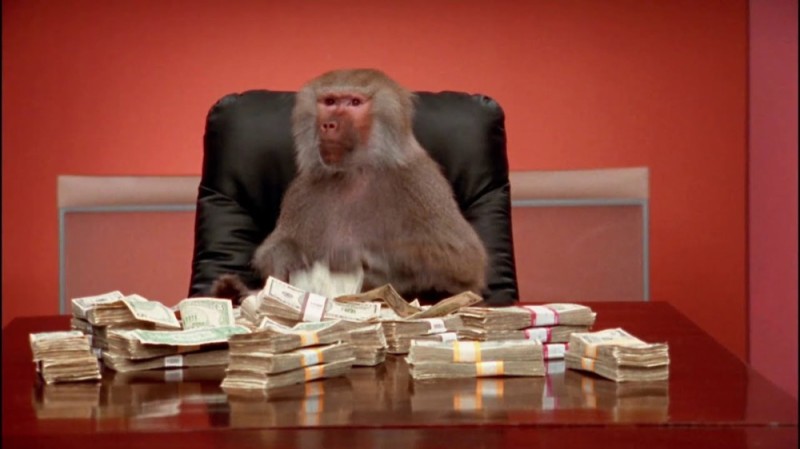 Создать мем: обезьяна в офисе, бабуин в офисе, мартышка с деньгами