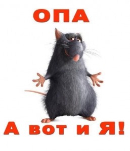 Create meme: Ratatouille rat, oops your mother's Ratatouille, rat Ratatouille PNG