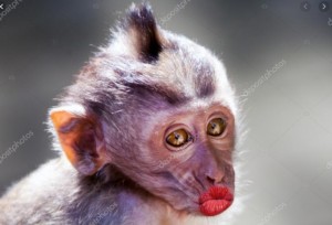 Создать мем: макака с губами, макаки, смешные обезьяны