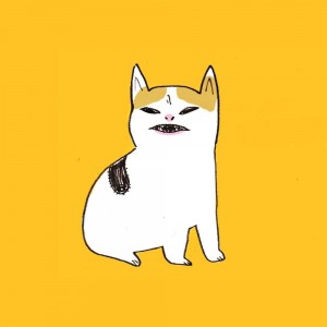 Create meme: cat with banana, seals, cats