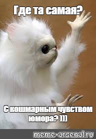 Создать мем: null