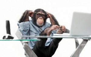 Создать мем: шимпанзе, обезьяна, обезьяна в офисе