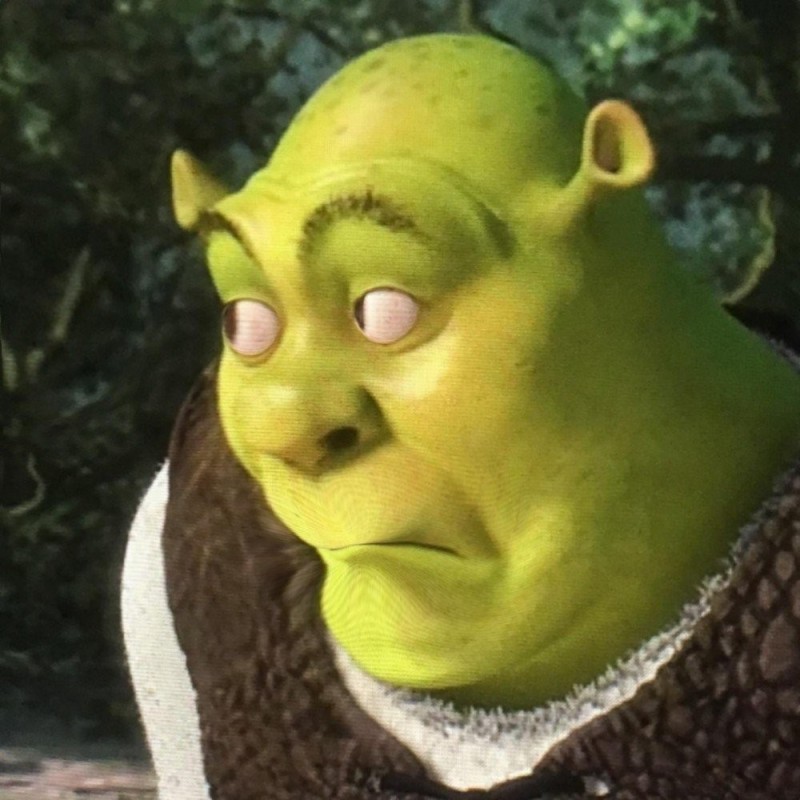Create meme: Shrek funny, Shrek funny face, shrek surprised