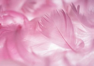 Create meme: arka fonlar, beautiful background, pink