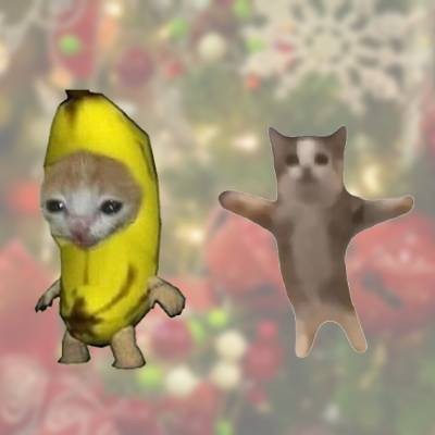 Create meme: the cat and the banana meme, people , animals funny 