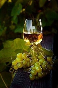 Create meme: a glass of wine, wine, grapes