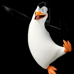 Create meme: the penguins of Madagascar, penguin Kowalski, the penguins of Madagascar Kowalski