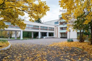 Create meme: school, autumn maple, autumn