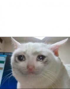 Create meme: the cat from the meme, sad cat meme, crying white cat