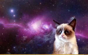 Create meme: grumpy cat space