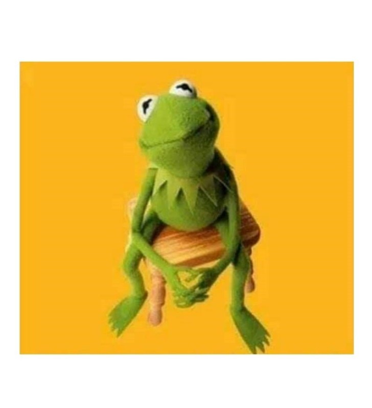 Create meme: frog , kermit , Kermit 