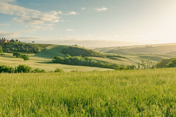 Create meme: field nature, nature panorama, Tuscany panorama