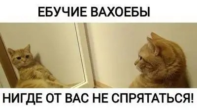 Create meme: the cat in the mirror meme, meme cat , cat 