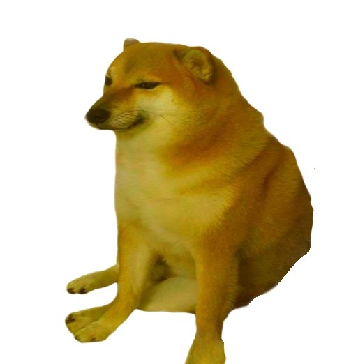 Create meme: shiba inu, doge dog , Shiba inu 