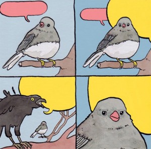 Создать мем: twitter, 9 gag, annoyed bird