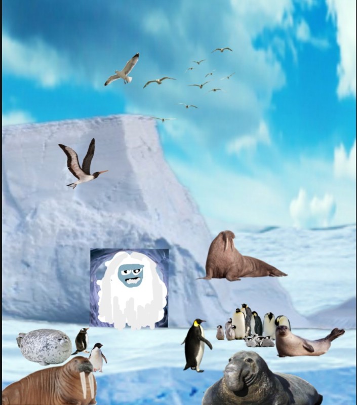 Create meme: Antarctic animals, animals of Antarctica on one, animals of Antarctica for children