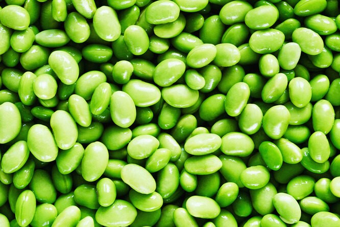 Create meme: green beans, soybeans, soybeans