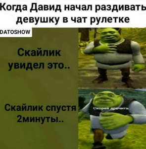 Create meme: Shrek obsolets without the Mat, text, Shrek