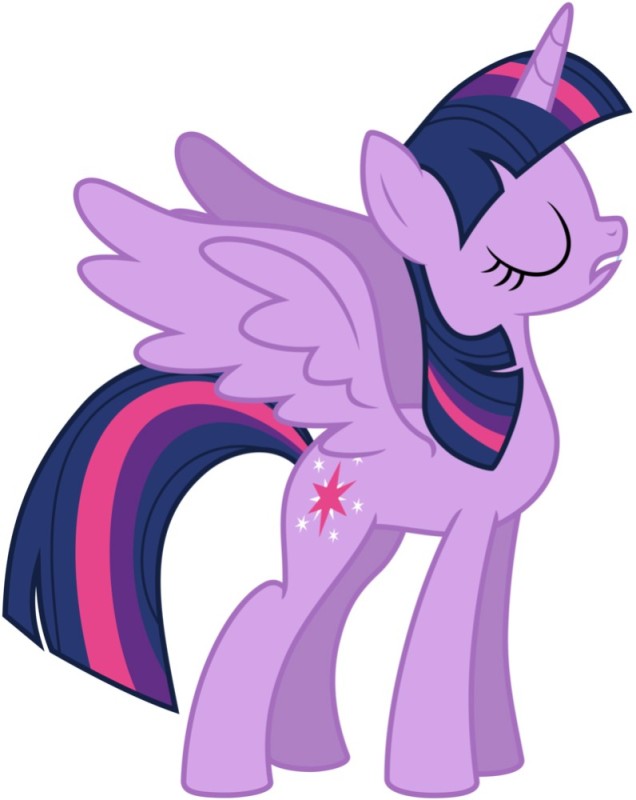Create meme: twilight sparkle Princess, twilight , sparkle pony