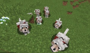Create meme: minecraft, wolf minecraft, mods for minecraft