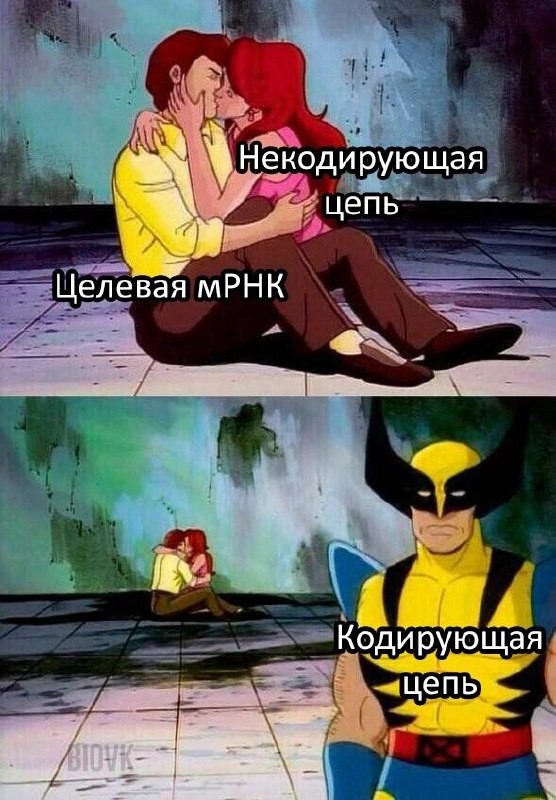 Create meme: Wolverine meme, memes, fun memes 