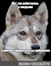 Создать мем: null