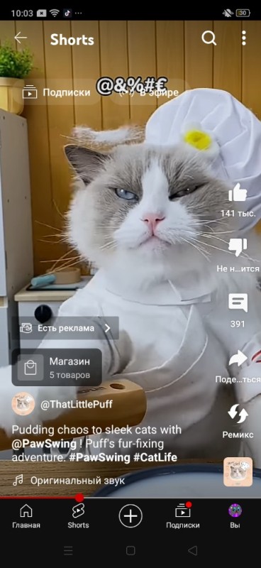 Создать мем: cat pfp, кот, that little puff кот