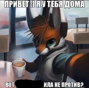 Create meme: furry Fox, furry art