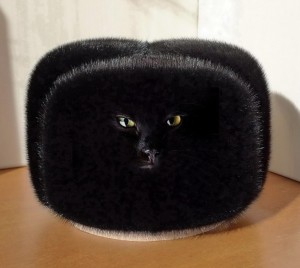 Создать мем: толстый черный котик, шапка меховая, шапка норковая обманка