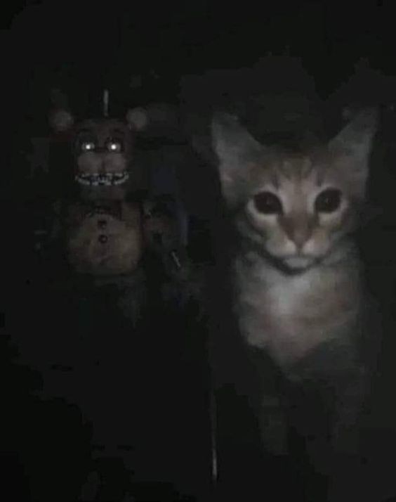 Create meme: five nights at freddy's, Scary cats in the dark, fnaf ar
