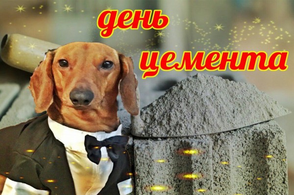 Create meme: happy cement day, happy crispy cement day, happy birthday meme with a dog