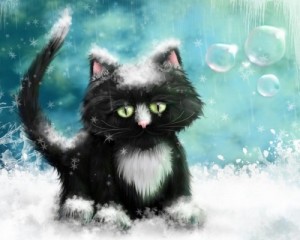 Создать мем: кот, мем котейка, snow cat