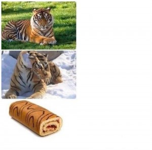 Создать мем: тигр мемы, помятый тигр мем, мемы с тигром и рулетом
