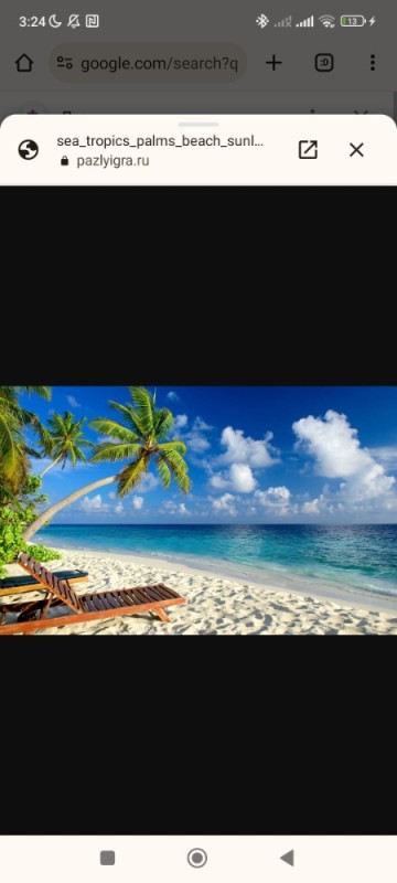 Create meme: ocean palm trees, beautiful beach , tropical beach