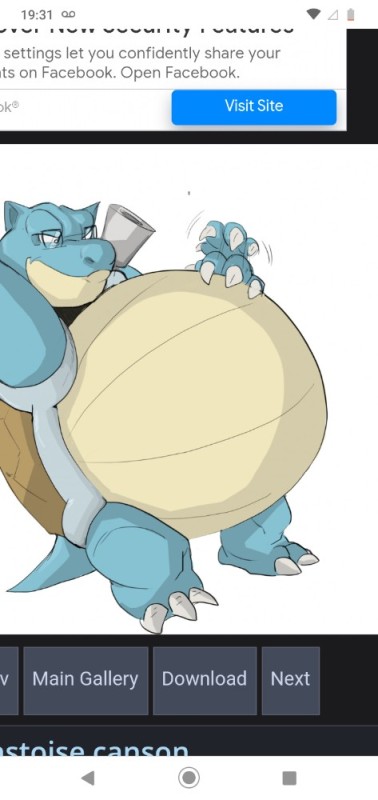 Create meme: pokemon , strong pokemon, pokemon blastoise